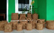 Pembuatan Pot Sabut Kelapa Mudah,Ramah Lingkungan Dan Simple