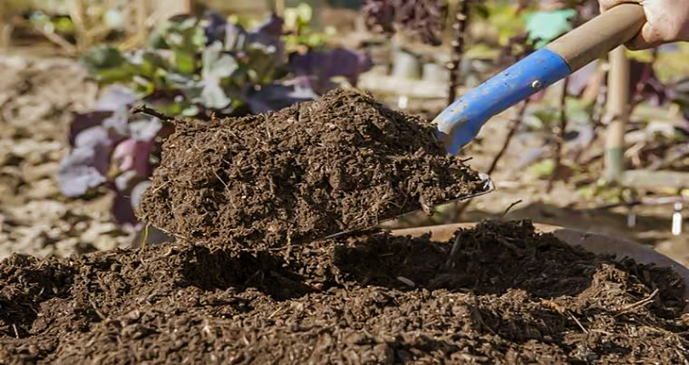 Proses Pembuatan Pupuk Kompos Yang Gampang dan Sederhana