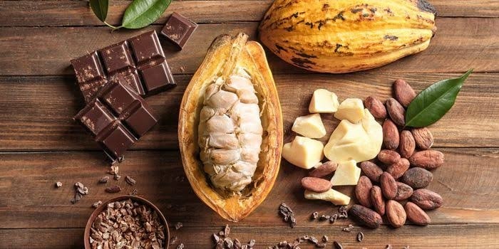 manfaat buah kakao