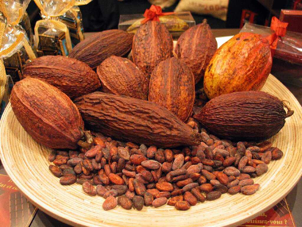 mengolah biji kakao menjadi coklat