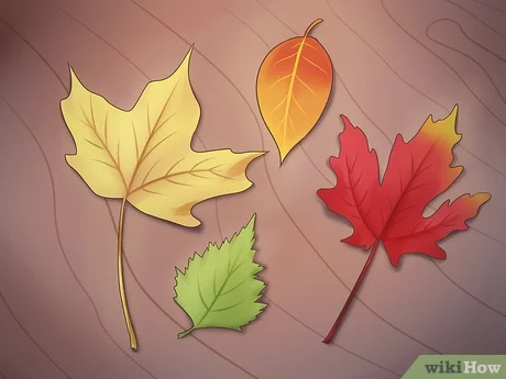 cara membuat kerajinan daun kering