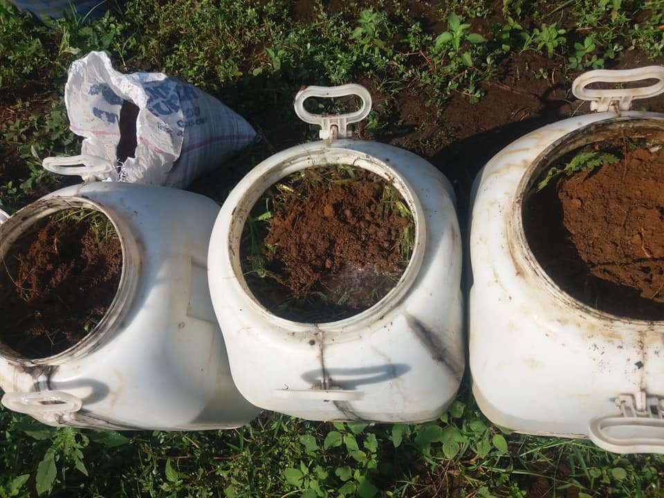 pupuk kompos dari rumput