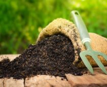cara membuat pupuk kompos dari dedaunan