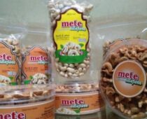 usaha kacang mete