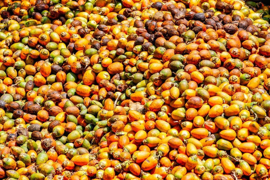 ekspor buah pinang